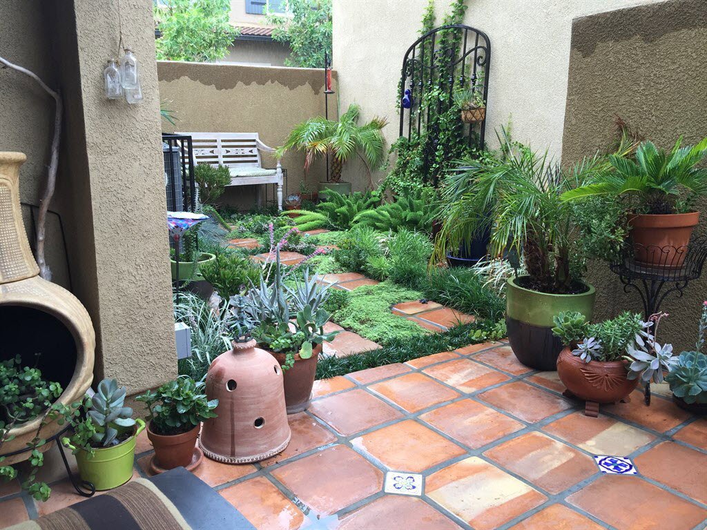 outdoor courtyard, container garden, succulent outdoor courtyard, container garden, succulent
